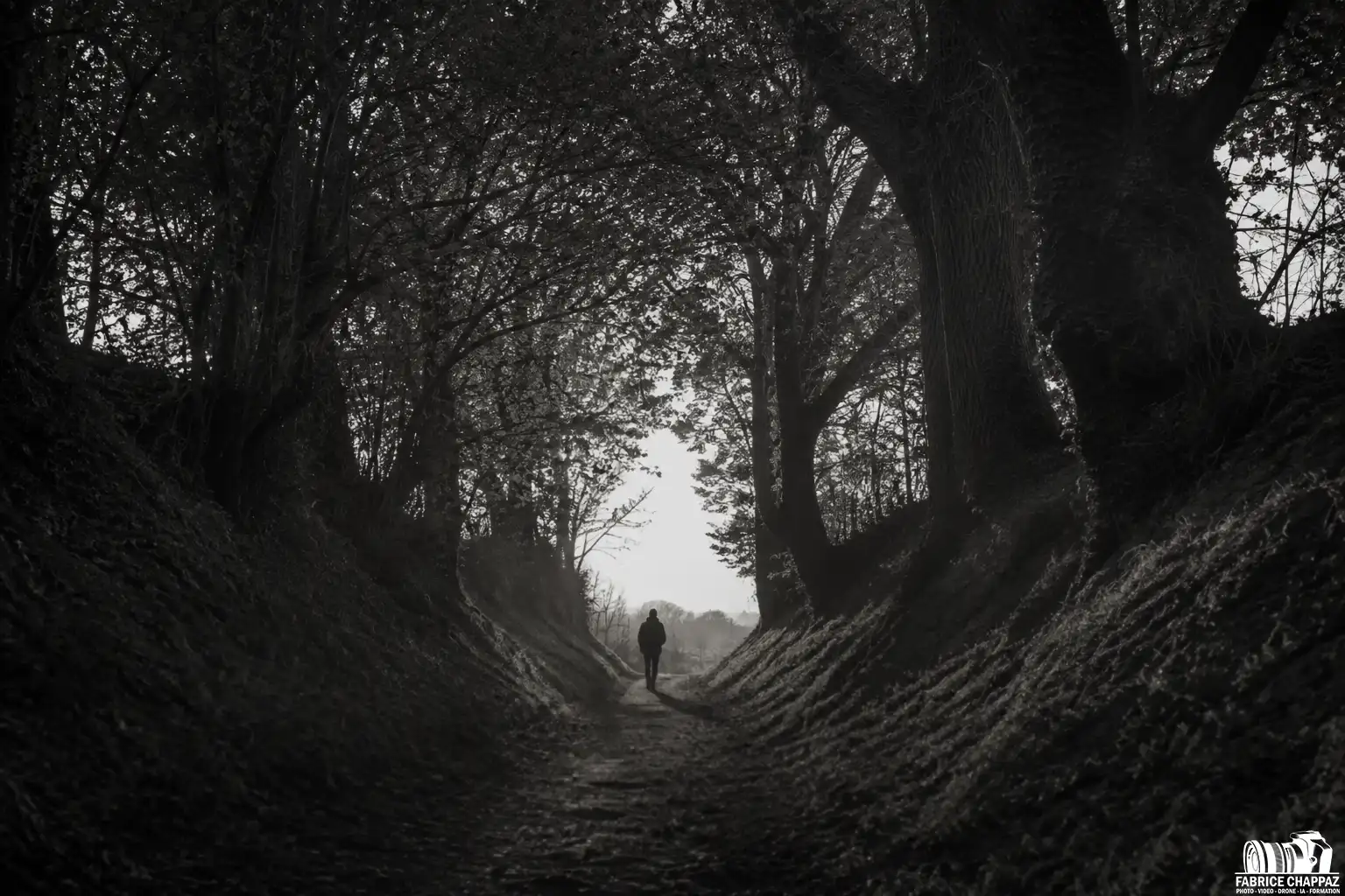 Chemin creux bois
