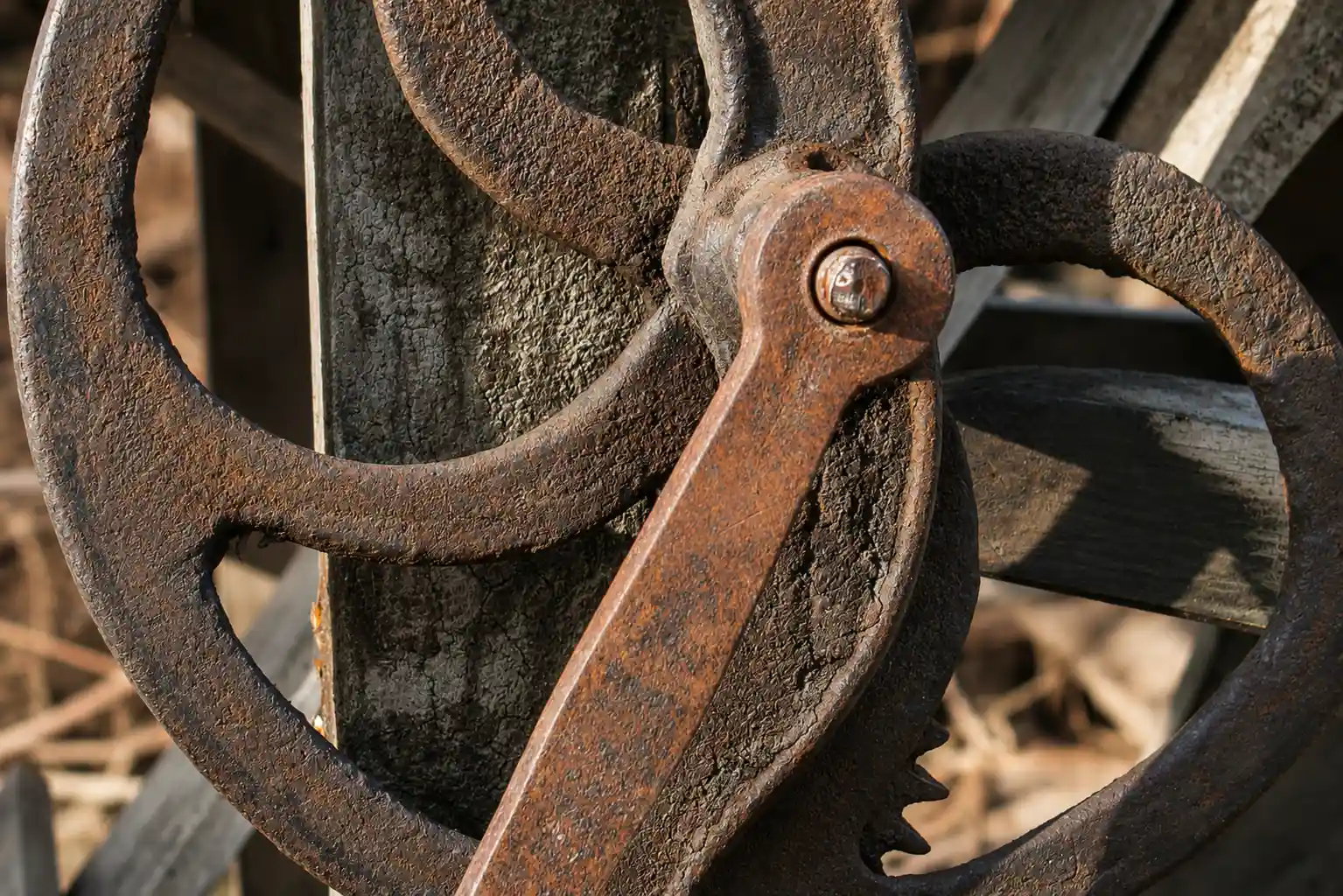 Detail rouille roye