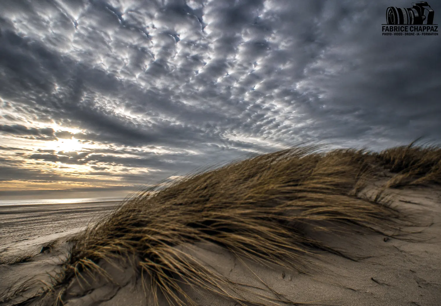 Vent dune