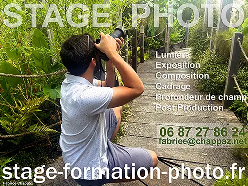 Portrait stagiiairecours photo Les Herbiers